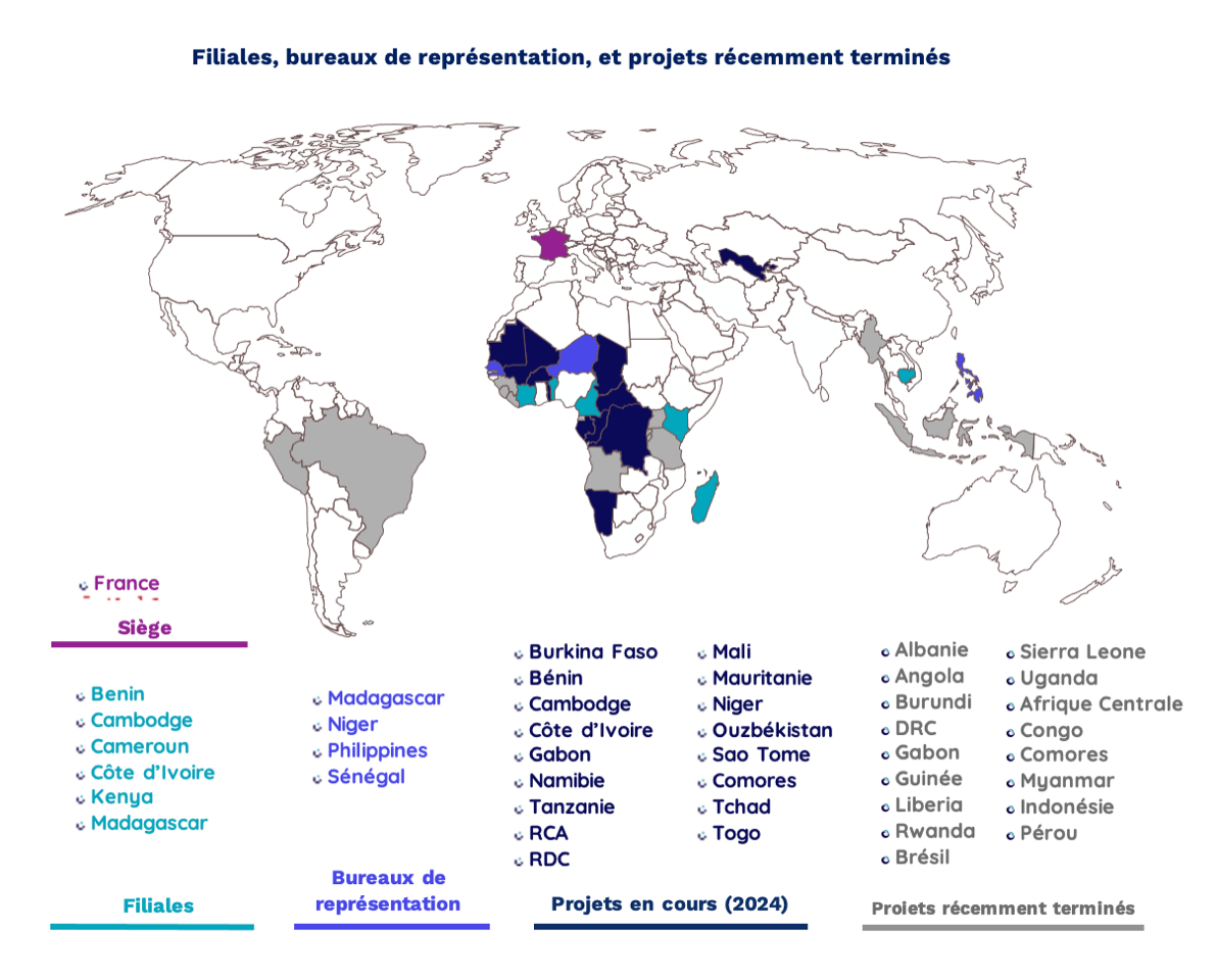 Filiales IED