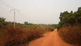 Section ligne MT vers Mbakaou (8)